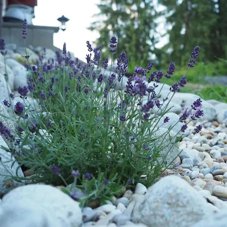 Maison d'hôtes Ubytovanie&restauracia Bodliak