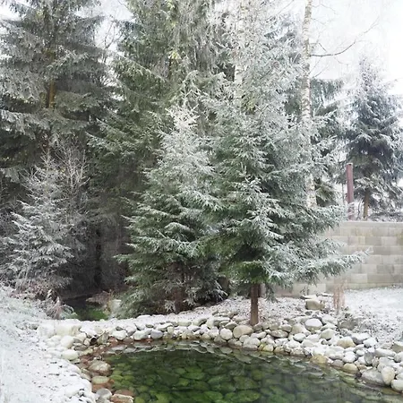 Ubytovanie&restauracia Bodliak 3*