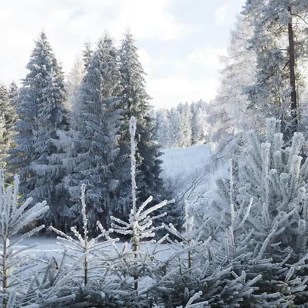 Ubytovanie&restauracia Bodliak 3*